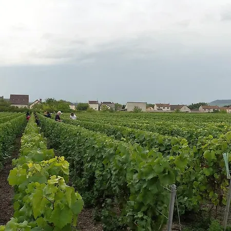 Le 31 La Madeleine Guest house Blancs-Coteaux